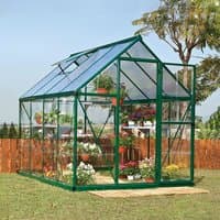 Green-framed polycarbonate greenhouse with clear panels, peaked roof, and sliding door, housing various plants.