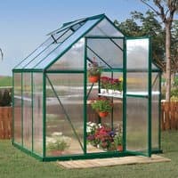 Green-framed polycarbonate greenhouse with clear panels, sloped roof, and open door, showcasing potted plants inside.