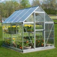 Silver Palram Canopia greenhouse with clear polycarbonate panels, sloped roof, and metal frame, housing plants inside.