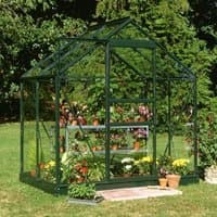 Green metal frame greenhouse with clear panels, pitched roof, and door, surrounded by plants and flowers.