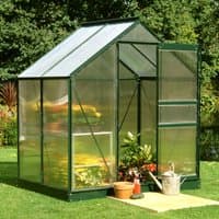 Green-framed polycarbonate greenhouse with clear panels, open door, and pitched roof, surrounded by garden plants.