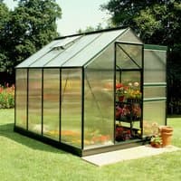 Green frame polycarbonate greenhouse, 6'x8', with clear panels and sloped roof, housing plants and flowers.