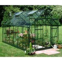 Green aluminum-framed greenhouse with glass panels, pitched roof, and sliding door, housing plants and flowers.