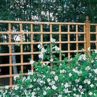 Wooden square garden trellis fence panel with grid design, 6' x 2', set against a backdrop of trees and white flowers.