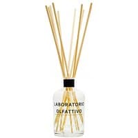 Clear glass diffuser bottle with black cap, labeled "Laboratorio Olfattivo," filled with long natural reeds.