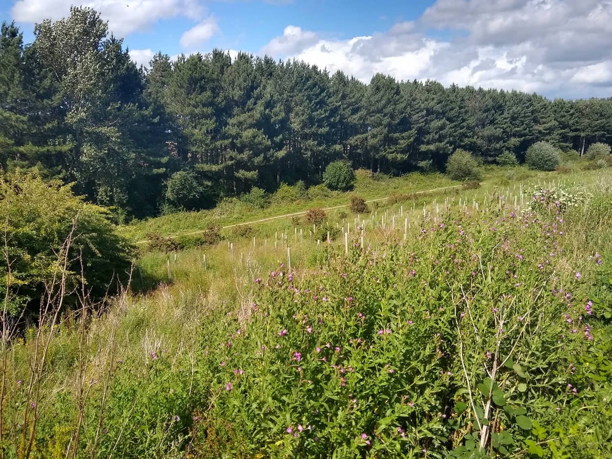 Acomb, North Yorkshire