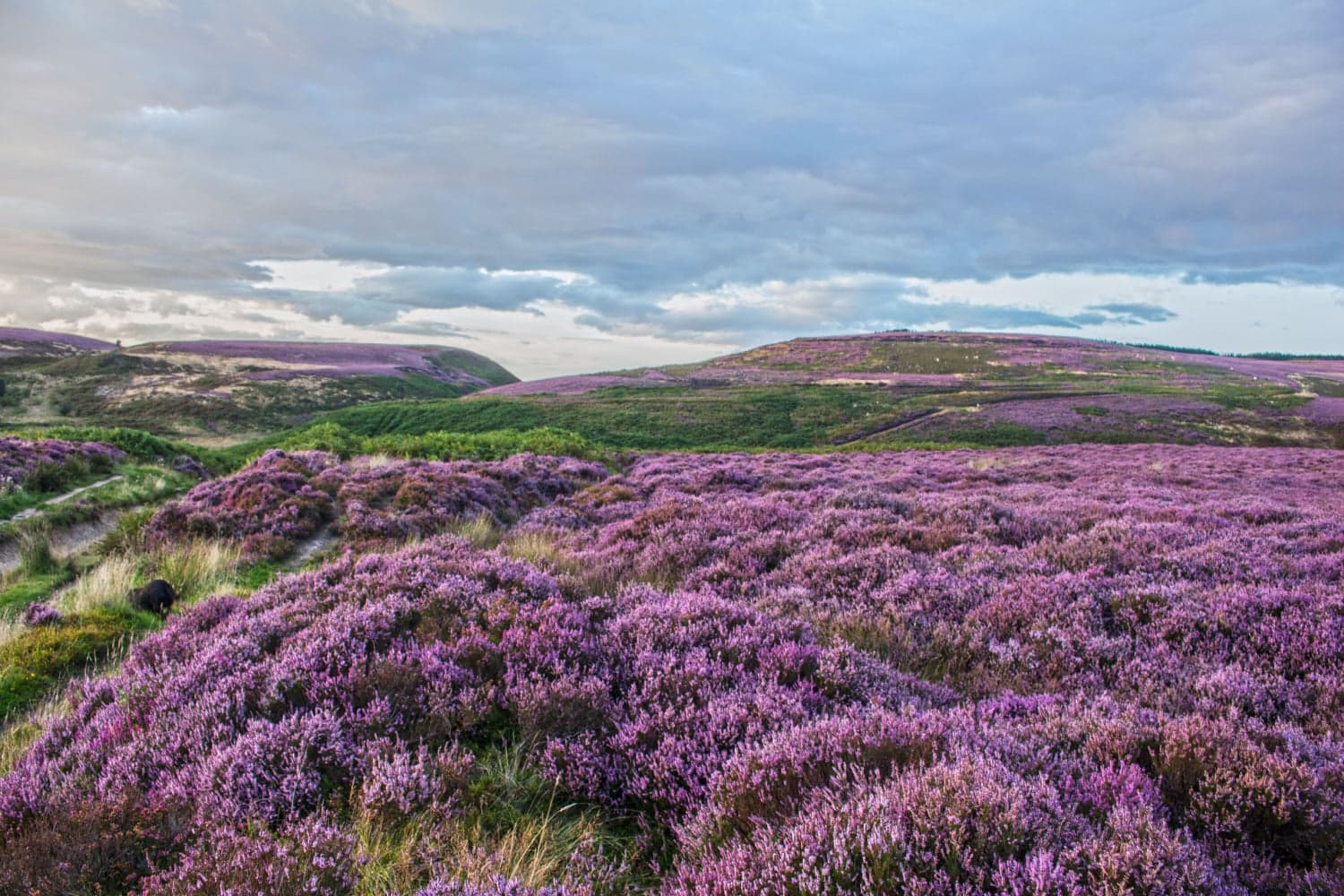 Winton, North Yorkshire